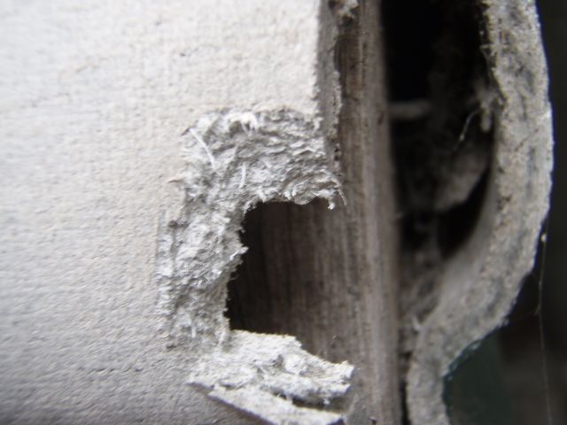 Safe Environments Identifying Asbestos, Vinyl Sheet Flooring Asbestos Identification